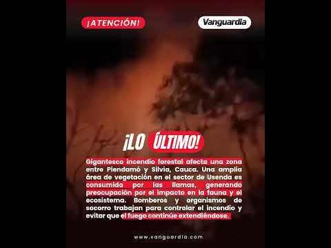 Gigantesco incendio forestal afecta una zona entre Piendamó y Silvia, Cauca.