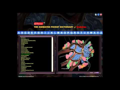 Focus Medica Pocket Dictionaries