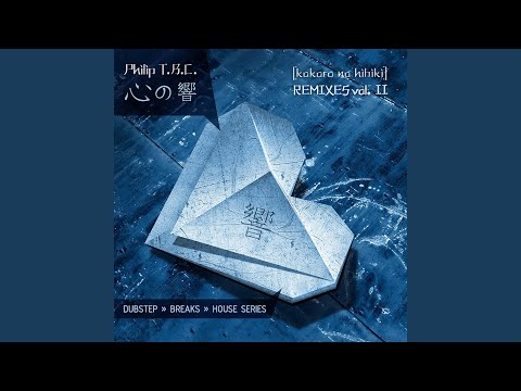 Back to the Batcave (Ans Remix)