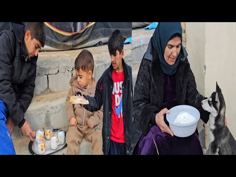 Kur Dielli Kthehet Pas Stuhisë, Një Nënë Rindërton Gjithçka