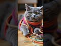 Cat S Playtime With Colorful Ropes And A Tiny Mouse
