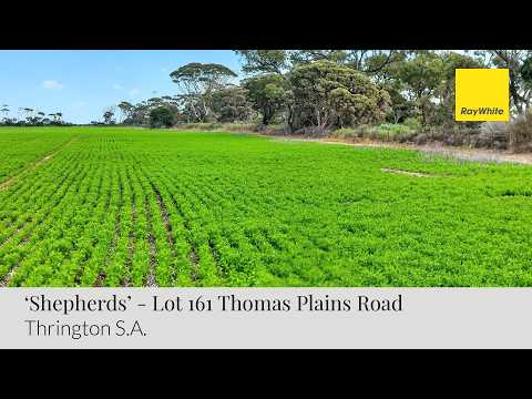 'Shepherds' Thomas Plains Road, Thrington, SA 5552, 0 rūma, 0 rūma horoi, Lifestyle Property