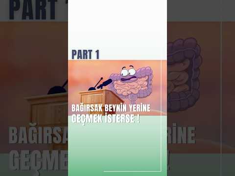 Bağırsak ve Beyin Bağlantısının Depresyon Üzerindeki Etkisi