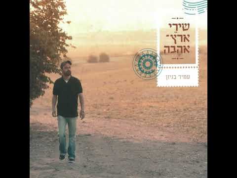 After 20 Years - Amir Benayoun (cover) | English Subtitles | Discover Israeli Music