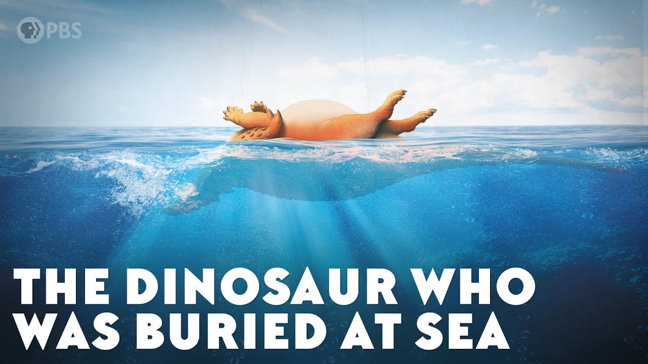 The Dinosaur Who Was Buried at Sea