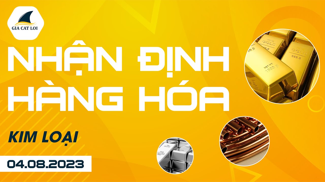 Nhận Định Hàng Hoá Kim Loại Ngày 04/08/2023