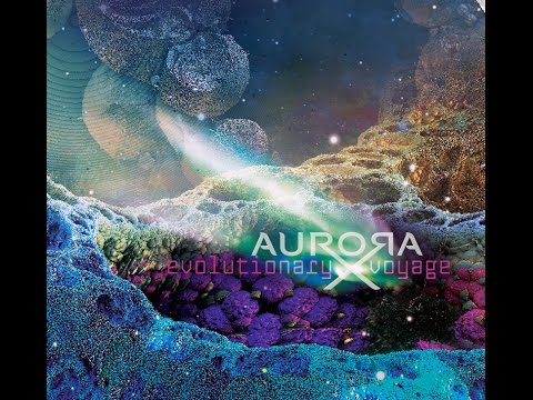 AuroraX  - Project Voyager [Evolutionary Voyage]