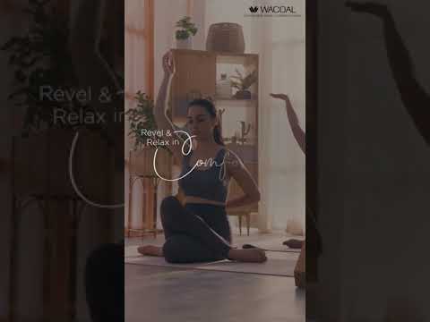 Revel & Relax in Comfort with Wacoal’s Lingerie!