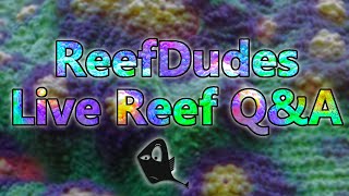 ReefDudes Saltwater Reef Chat - Live Q&A