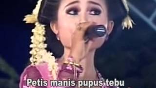 Download lagu Petis Manis - Campursari Sangga Buana mp3 Download lagu Petis Manis - Campursari Sangga Buana mp3