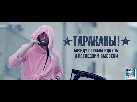 Тараканы! 