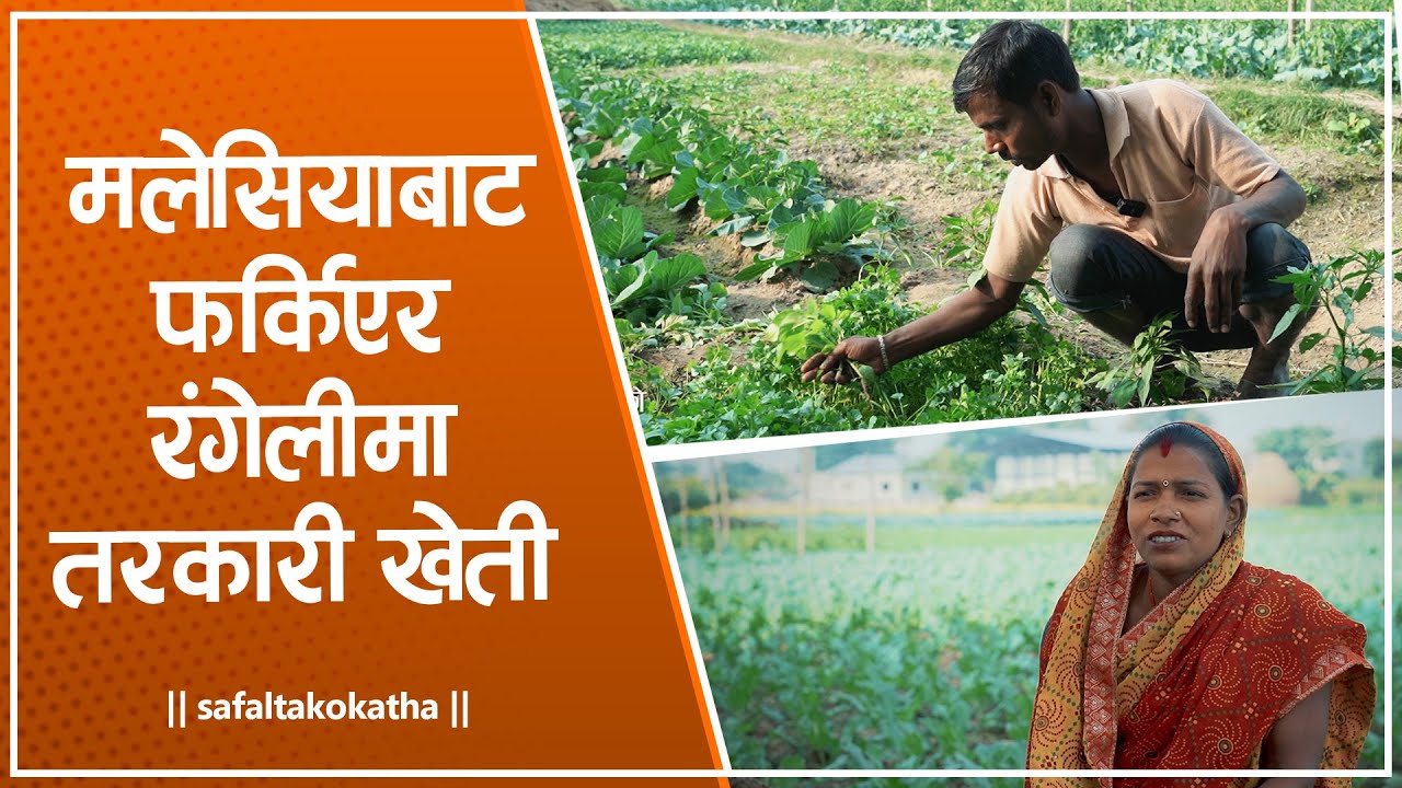 खुसी मिल्ने खेती  • सफलताको कथा •