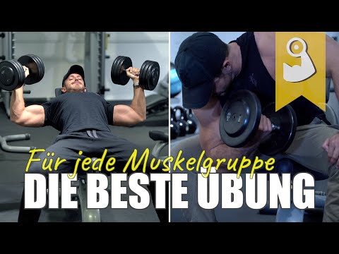 Die beste Übung für jede Muskelgruppe