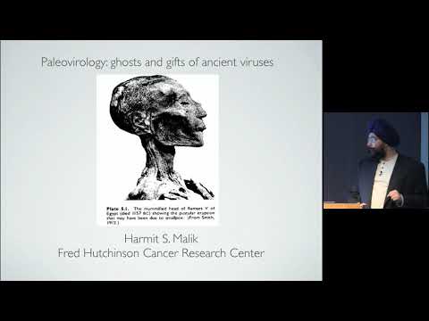 Paleovirology: Ghosts and Gifts of Ancient Viruses