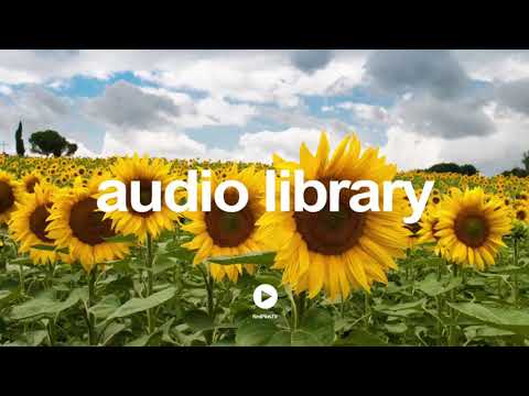 Event Departure - Silent Partner | No Copyright Music YouTube - Free Audio Library