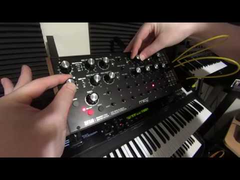 Synth Stuff Ep. 26 - Moog DFAM