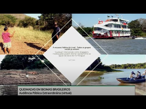 Queimadas em Biomas - Escassez na Bacia do Rio Paraguai e as ameaças ao Pantanal - 15/07/2021