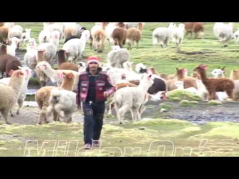 Milder Oré - Mi Linda Flor