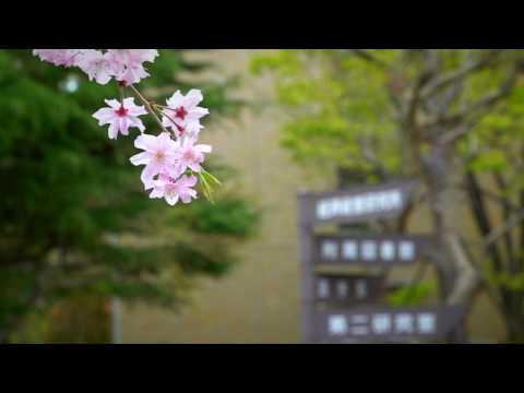 [ 第七回 ] 静かな風景