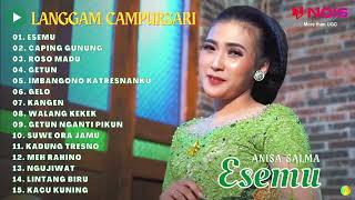Download lagu ANISA SALMA - ESEMU | KOMPILASI TERBARU PLAYLIST LANGGAM CAMPURSARI TERBARU 2022 mp3