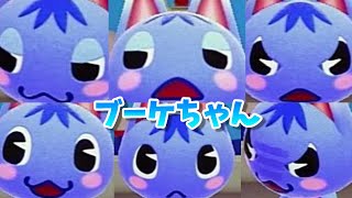 【あつ森】全部可愛いブーケちゃんリアクション全44種類コンプリート集！【あつまれどうぶつの森】