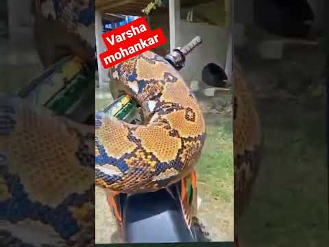 Ajgar | reels | Instagram |viral | trending |tiktok | music