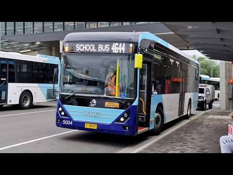Busways Penrith 5004 M/O 8420 - Custom Denning Element