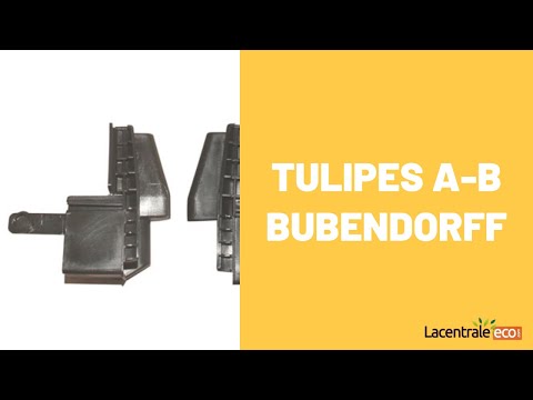 Tulipes A-B - Bubendorff