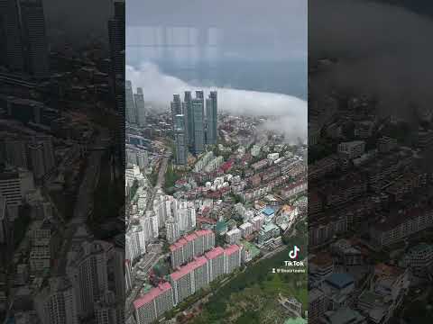 O Starbucks mais alto do mundo em Busan #korea #southkorea #busan #seoul #starbucks #coffee #shorts