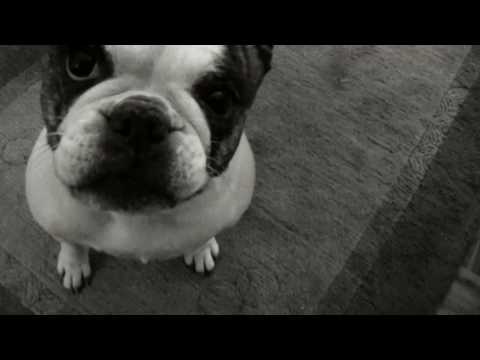 Tisch39 - Drei Männer und ein Wort (Offizielles Video)