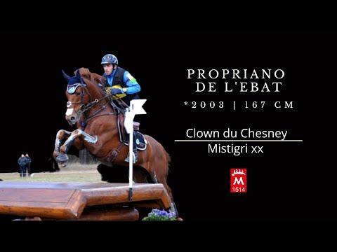 PROPRIANO DE L'EBAT *2003 v. Clown du Chesnay - Mistigri xx