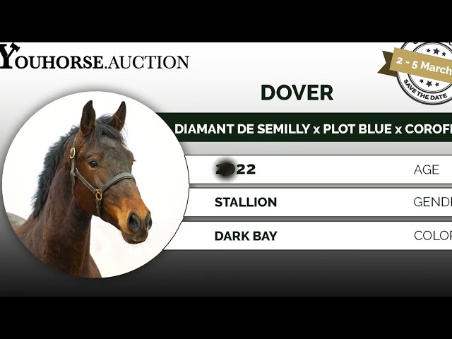 Dover