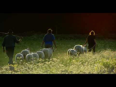 Småskalighetens Hjältar