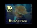 KEDT PBS Station ID 1991