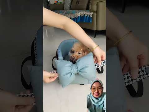 AJAK DOGGY JALAN-JALAN ‼️#comedy  #lucu  #funny