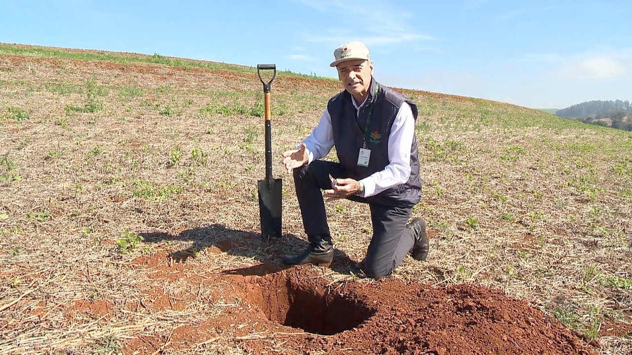 Manejo do solo: veja como avaliar a presença de camadas compactadas na lavoura