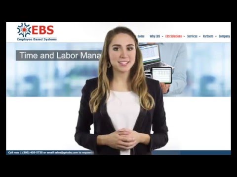 Employee Based Systems video/presentation/materials