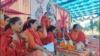 vrindavan jane waleya lai ja meri arzi — वृन्दावन जाने वालेया लै जा मेरी अर्जी / ਵ੍ਰਿੰਦਾਵਨ ਜਾਣੇ ਵਾਲਿਆ ਲੈ ਜਾ ਮੇਰੀ ਅਰਜ਼ੀ devotional song