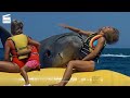 Les dents de la mer : La revanche : Banane aquatique CLIP HD