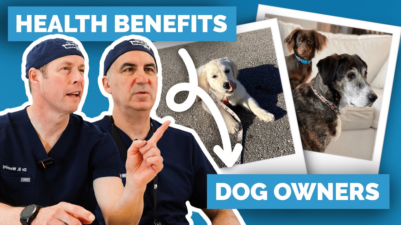 Dog Owners Live Longer? The Health Benefits Revealed