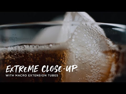 Extreme Close-Ups w/ Macro Extension Tubes