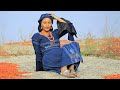 Sabuwar Waka (Da Kai Na Amince) Latest Hausa Song Video 2020#