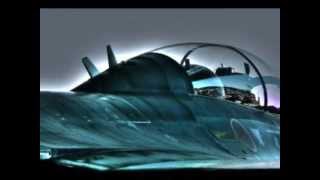 PAX  JAPONICA  GLOOVE    Ascension