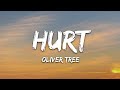 Oliver Tree Hurt Lyrics