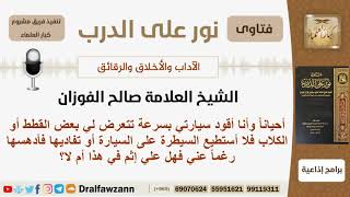 صورة هل يأثم الإنسان إذا دهس القطط أو الكلاب بالسيارة رغماً عنه؟ الشيخ الفوزان - مشروع كبار العلماء