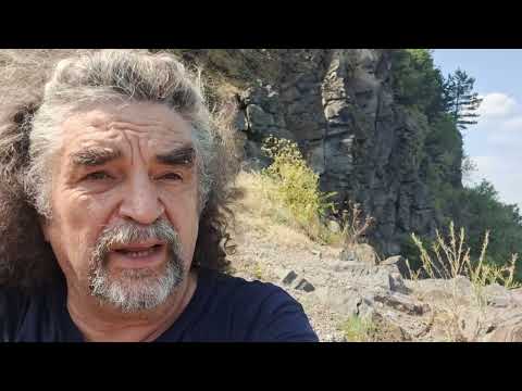 Botanikus a konyhában - 466. - borsos varjúháj (Sedum acre)