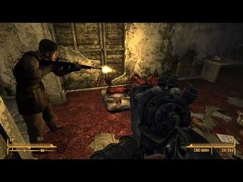 He just accepted his fate (and it was brutal) - Fallout: New Vegas