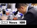 Meet The Scientists Who Created The First Human Pig Hybrid VICE News Tonight On HBO