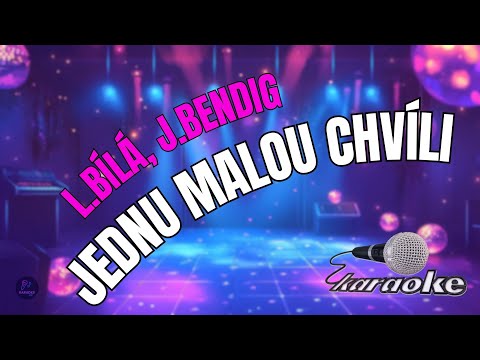 ???? Lucie Bílá, Jan Bendig – Jednu malou chvíli | Karaoke s textem ????