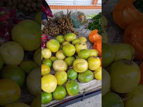 feira livre de João Alfredo